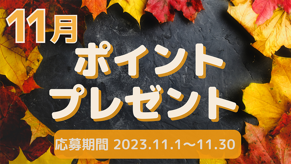 11月のプレゼントキャンペーン