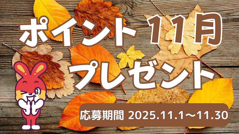 11月のプレゼントキャンペーン