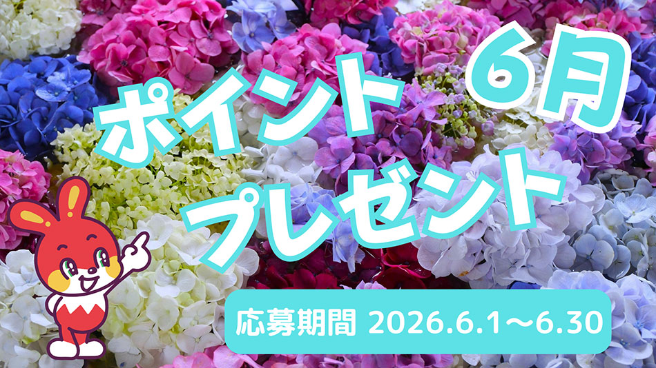 6月のプレゼントキャンペーン