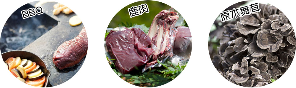 イメージ画像　舞茸、鹿肉、BBQ