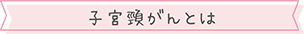 子宮頸がんについて