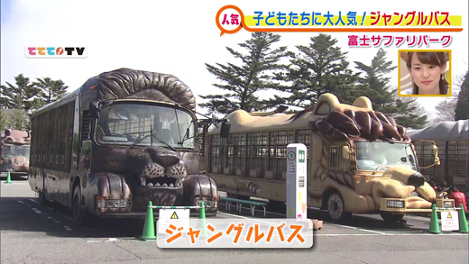 富士サファリパークを満喫 4月18日oa 山梨ライブ ててて tv 富士サファリパークを満喫 4月18日oa 山梨ライブ ててて tv