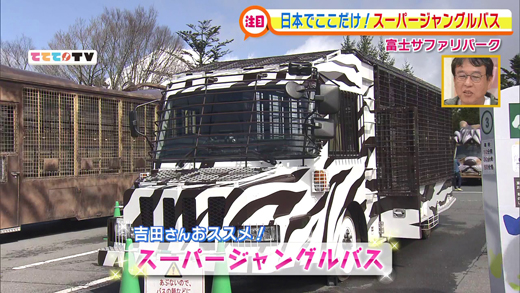富士サファリパークを満喫 4月18日oa 山梨ライブ ててて tv 富士サファリパークを満喫 4月18日oa 山梨ライブ ててて tv
