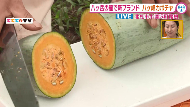 八ヶ岳南麓新ブランド 八ヶ峰 やつがね カボチャ 9 10oa 山梨ライブ ててて tv 八ヶ岳南麓新ブランド 八ヶ峰 やつがね カボチャ 9 10oa 山梨ライブ ててて tv
