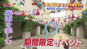 梅雨をエンジョイ！ やまなし“最前線”