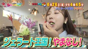 ジェラート王国！やまなし