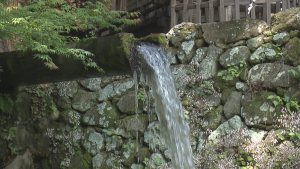 2倍お得！夏休み山梨ひんやり旅