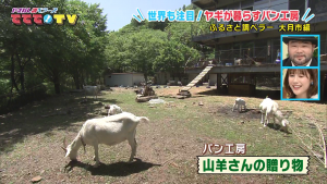 ふるさと調べラーズ　大月市編