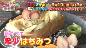 週末探検！ふるさと調べラーin笛吹市　人情あふれるやさシティSP