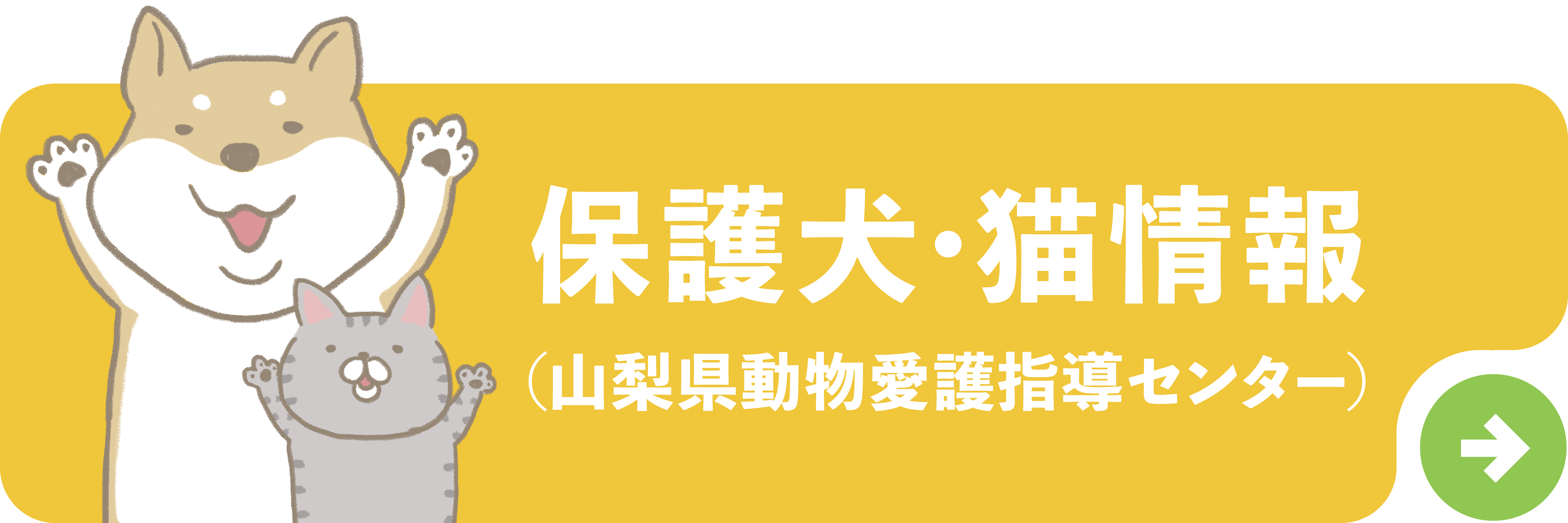 保護犬・猫情報