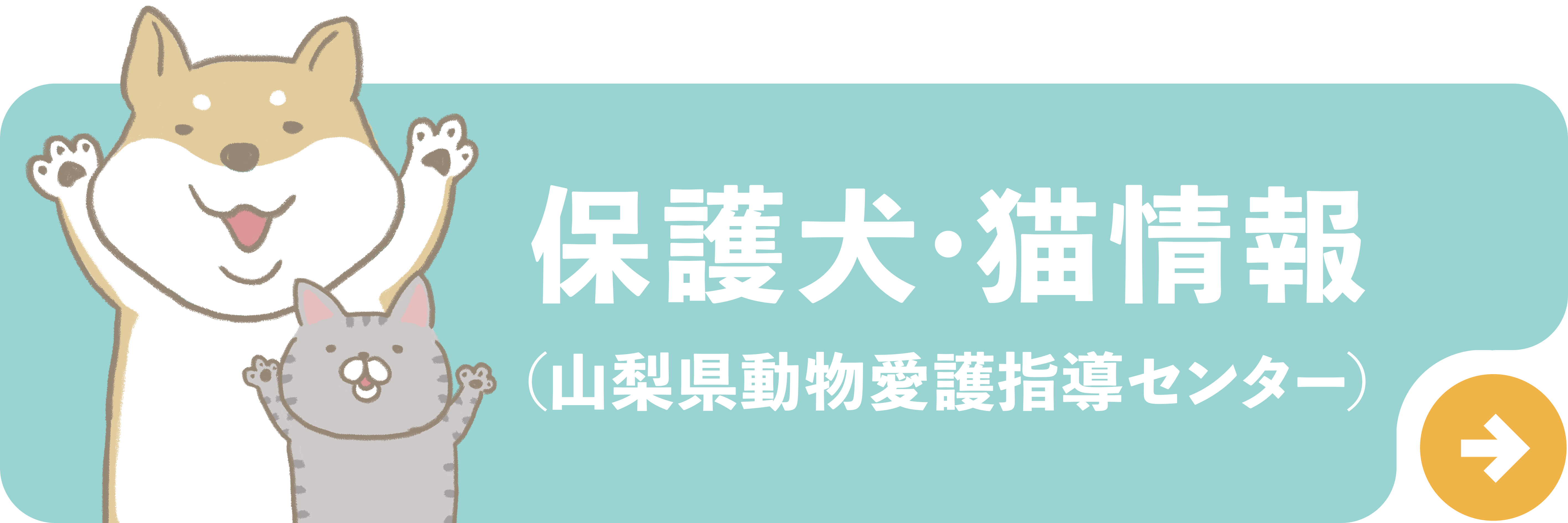 保護犬・猫情報