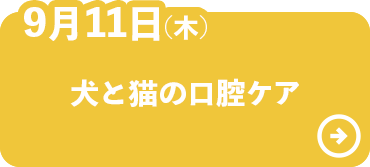 犬と猫の口腔ケア