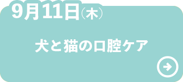 犬と猫の口腔ケア