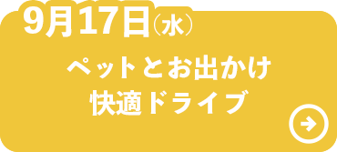 ペットとお出かけ快適ドライブ
