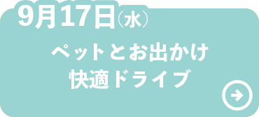 ペットとお出かけ快適ドライブ