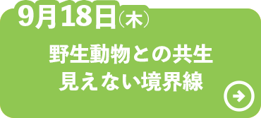 野生動物との共生見えない境界線