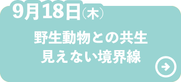 野生動物との共生見えない境界線