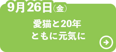 愛猫と20年ともに元気に