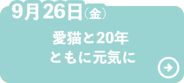 愛猫と20年ともに元気に