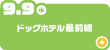 ドッグホテル最前線
