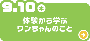 体験から学ぶワンちゃんのこと