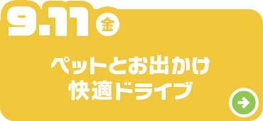 ペットとお出かけ快適ドライブ