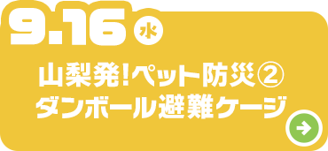 山梨発！ペット防災②ダンボール避難ゲージ