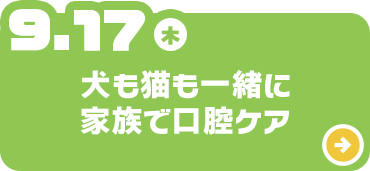 犬も猫も一緒に家族で口腔ケア