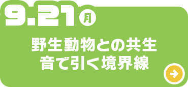 野生動物との共生 音で引く境界線