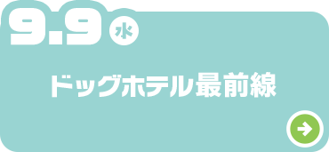 ドッグホテル最前線