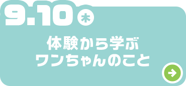 体験から学ぶワンちゃんのこと