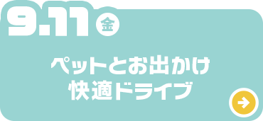 ペットとお出かけ快適ドライブ