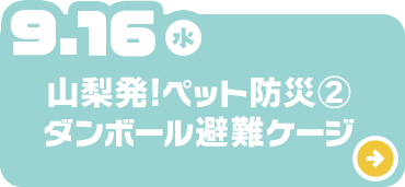 山梨発！ペット防災②ダンボール避難ゲージ