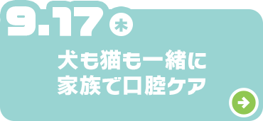 犬も猫も一緒に家族で口腔ケア