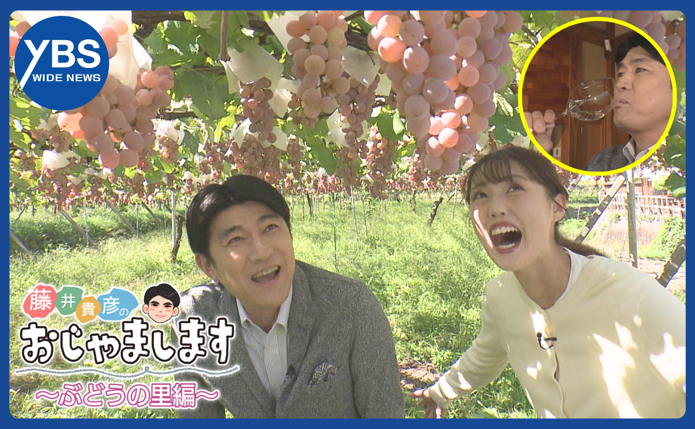 「藤井貴彦のおじゃまします」毎週金曜 ワイドニュースで放送中