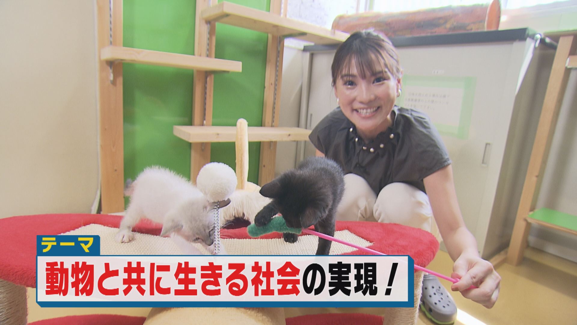 9月12日OA 動物と共に生きる社会の実現！ - 前進！やまなし